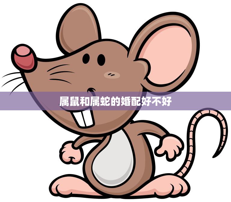 属鼠和属蛇的婚配好不好(如何看待这种组合)