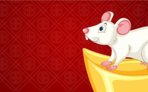 鼠男大5岁蛇女是否合适(年龄差异不是问题关键看这些)