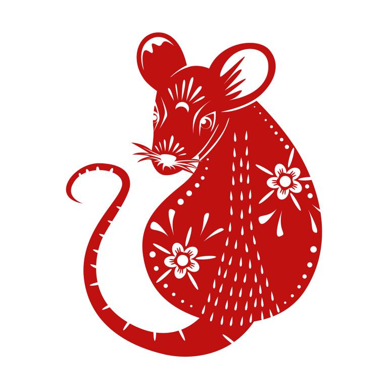 属相狗和老鼠相配吗婚姻(解析狗鼠姻缘是否可行)