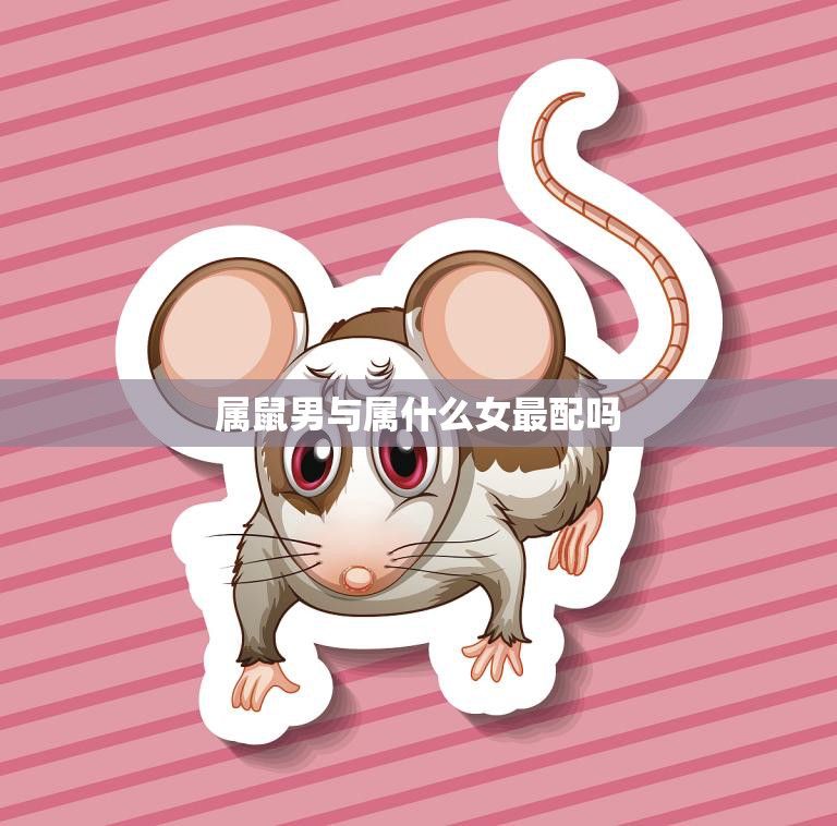 属鼠男与属什么女最配吗(揭秘十二生肖配对奥秘)