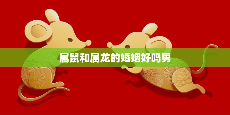属鼠和属龙的婚姻好吗男(如何避免婚姻矛盾)