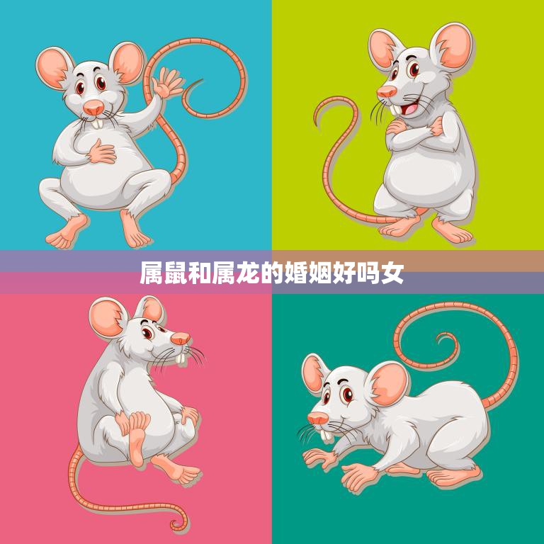 属鼠和属龙的婚姻好吗女(解析星座配对的奥秘)