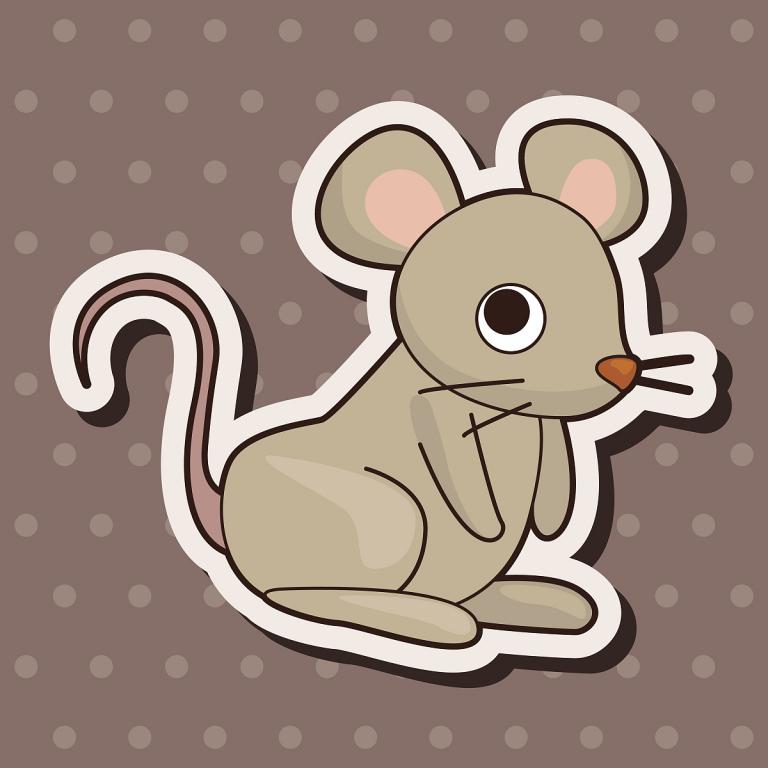 属鼠人与哪几种属相相克(解析属相相克对属鼠人的影响)