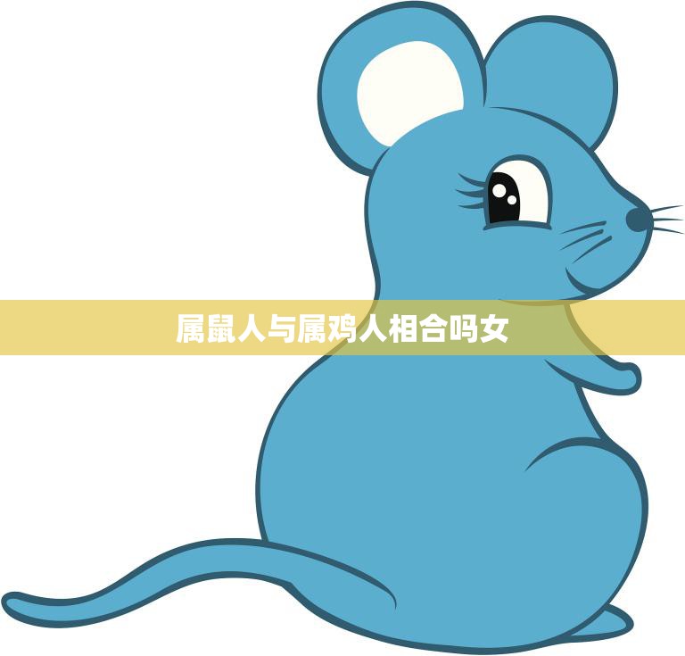 属鼠人与属鸡人相合吗女(解密属相配对的奥秘)