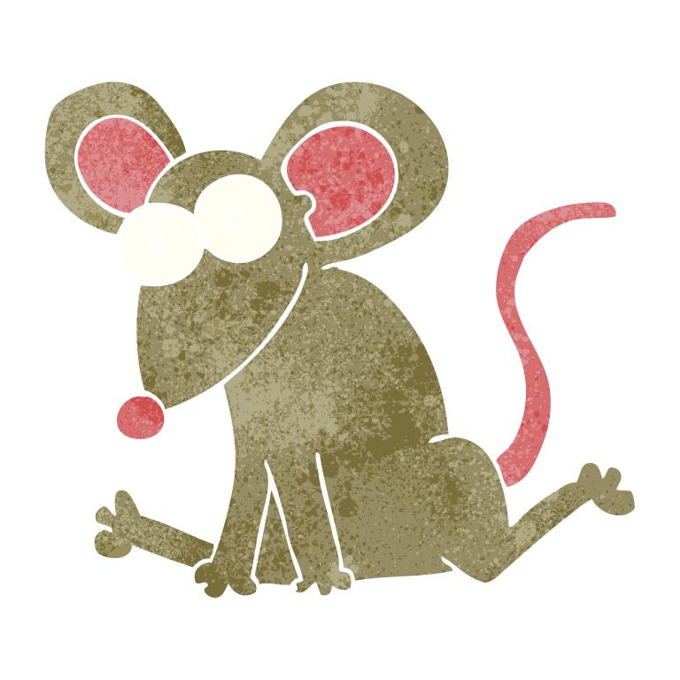 属鼠一辈子的克星是什么(如何化解)