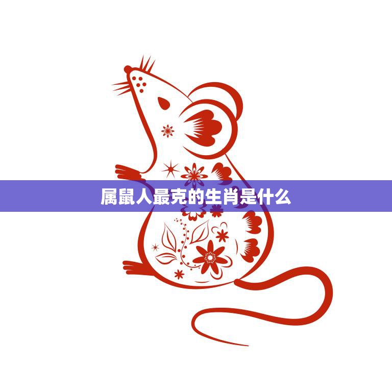 属鼠人最克的生肖是什么(揭秘这些生肖与属鼠人最不合拍)