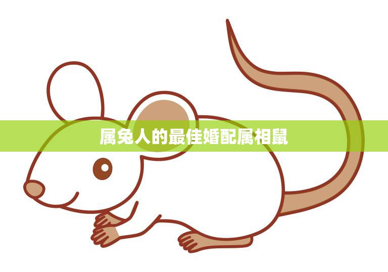 属兔人的最佳婚配属相鼠(幸福的婚姻秘诀)