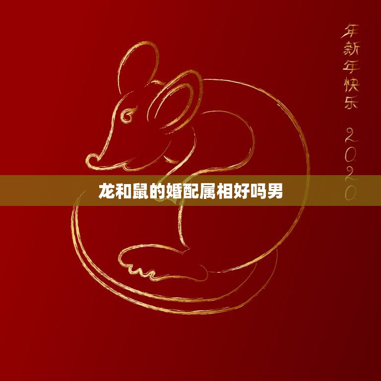 龙和鼠的婚配属相好吗男(解析龙鼠婚配的优缺点)