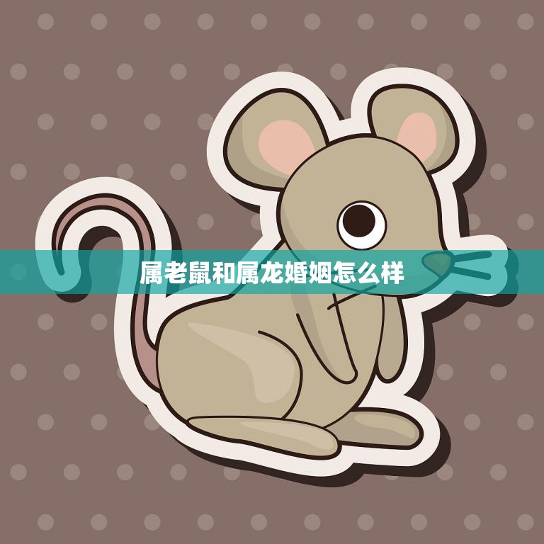 属老鼠和属龙婚姻怎么样(幸福共存还是水火不容)