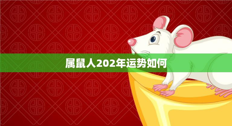 属鼠人202年运势如何(2023年鼠年运势大揭秘)