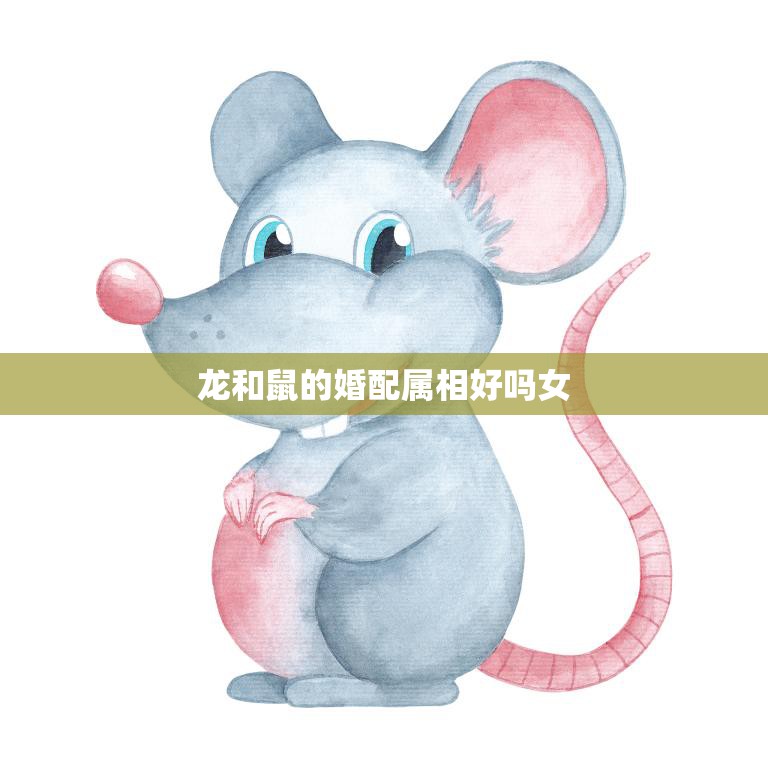 龙和鼠的婚配属相好吗女(解析命运相合还是水火不容)