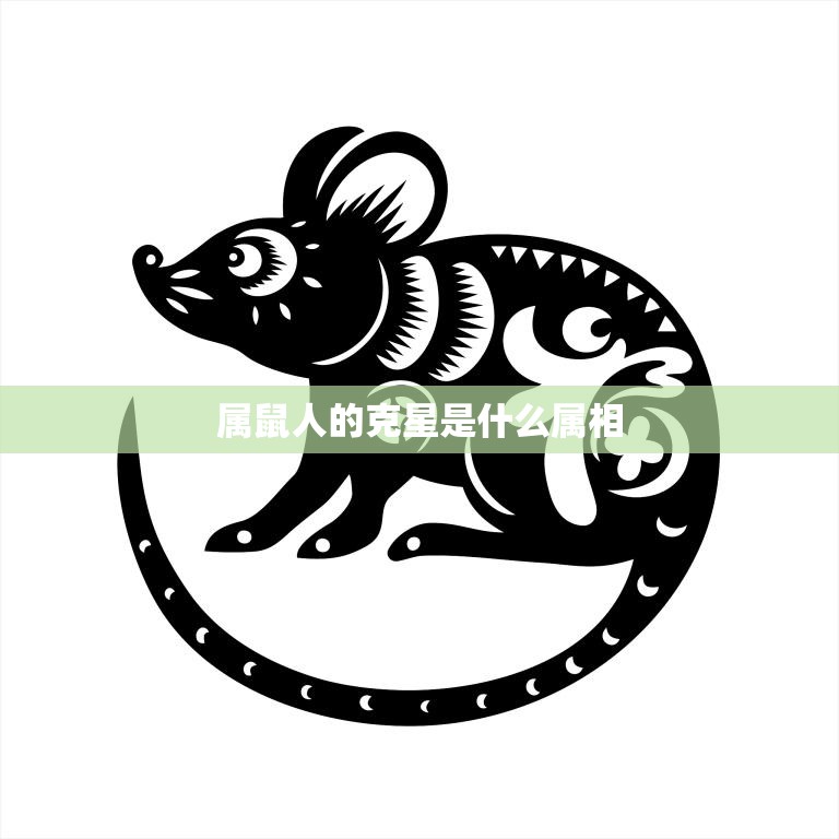 属鼠人的克星是什么属相(揭秘属相相克的秘密)