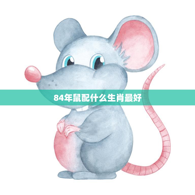 84年鼠配什么生肖最好(如何选择最佳配偶)