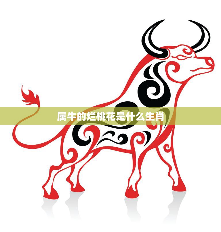 属牛的烂桃花是什么生肖(解析桃花运不佳的生肖)