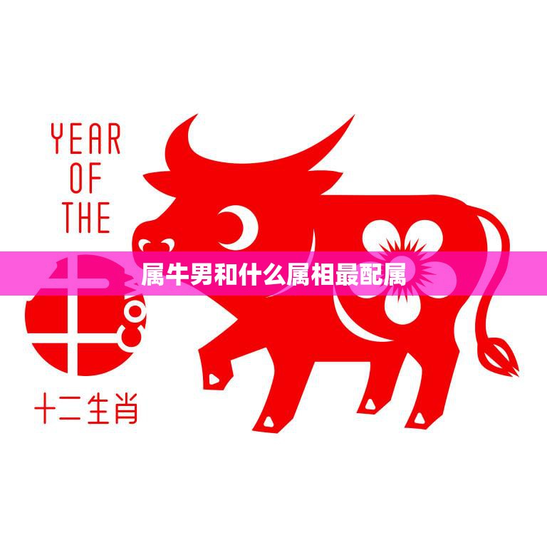 属牛男和什么属相最配属(十二生肖配对大揭秘)