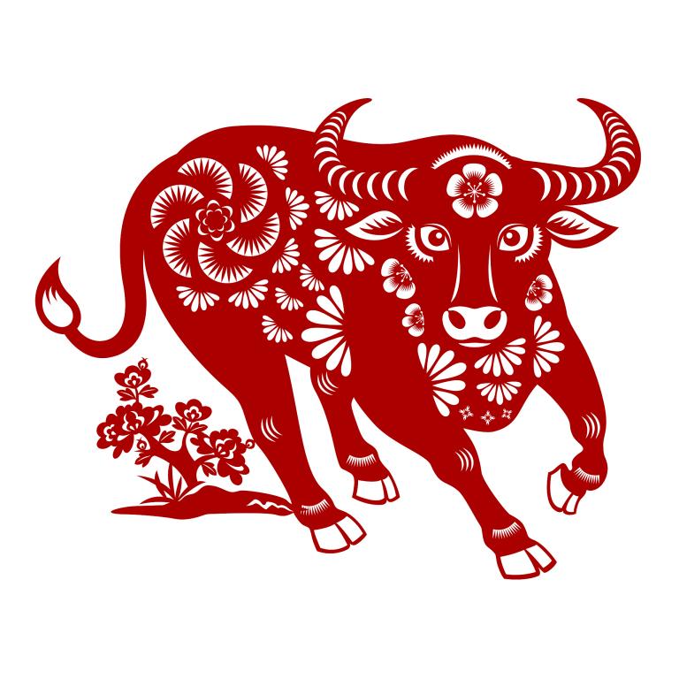 97年属牛哪一年会动婚(牛年婚期解析最佳结婚时间是哪一年)