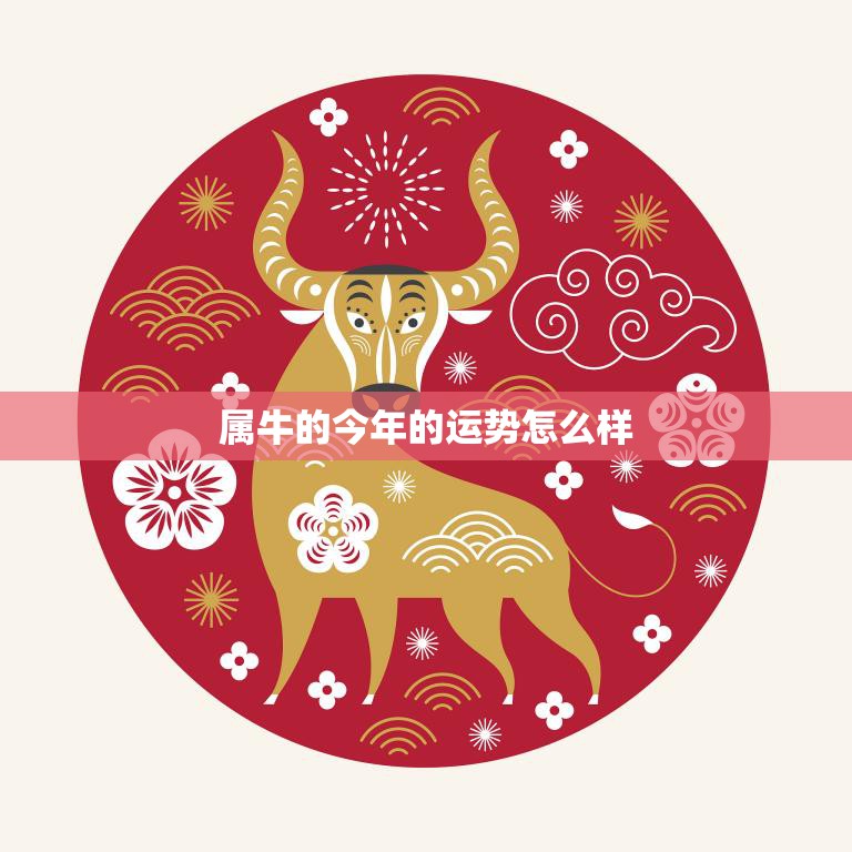 属牛的今年的运势怎么样(2023年牛年运势大揭秘)