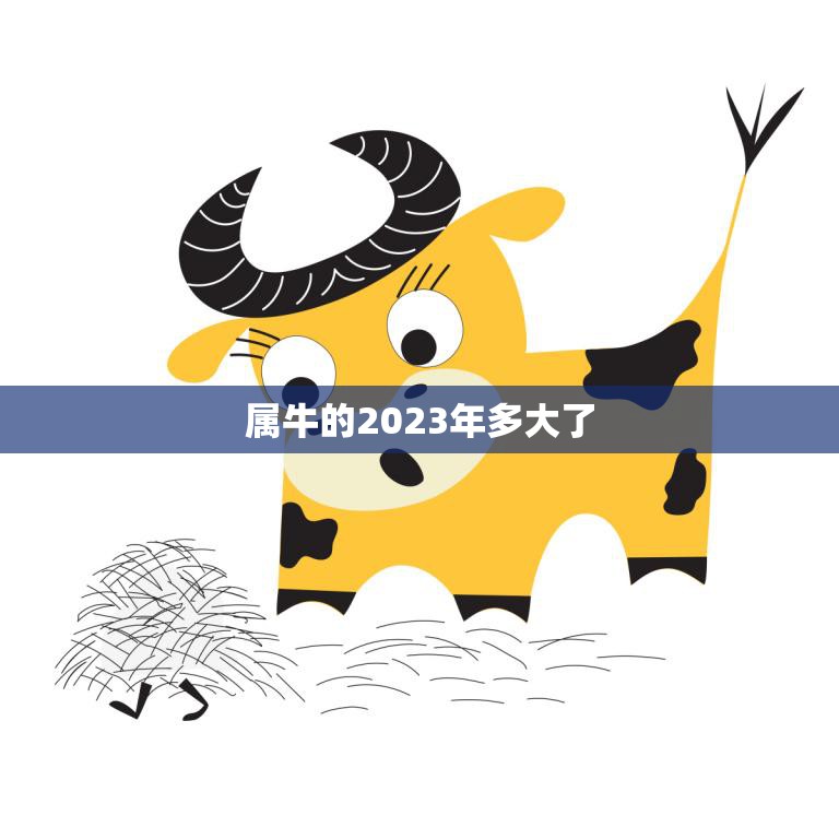 属牛的2023年多大了(牛年人的年龄计算方法及注意事项)