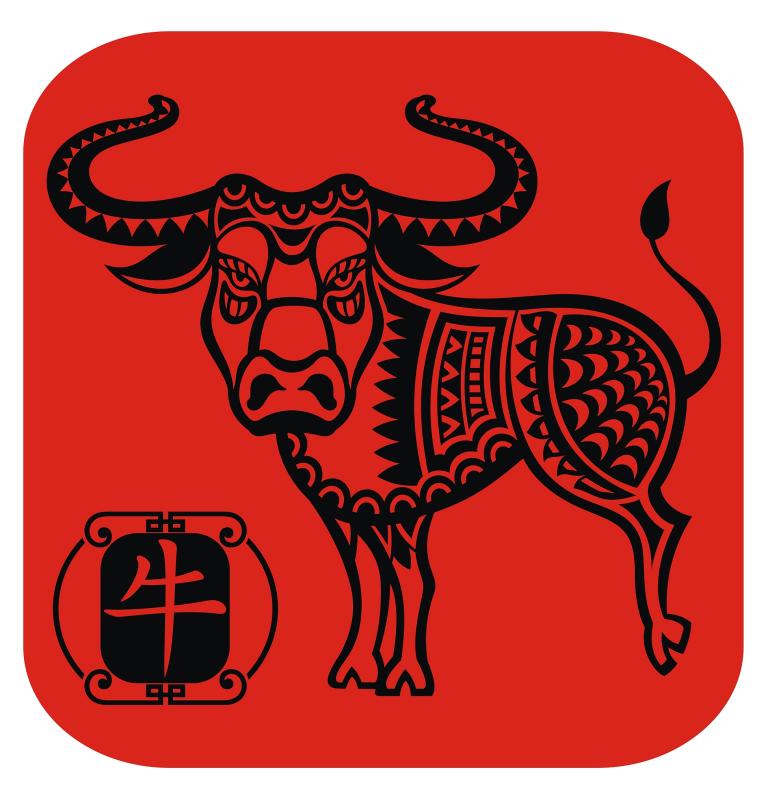 牛跟龙属相合不合做夫妻(如何看待这种组合)