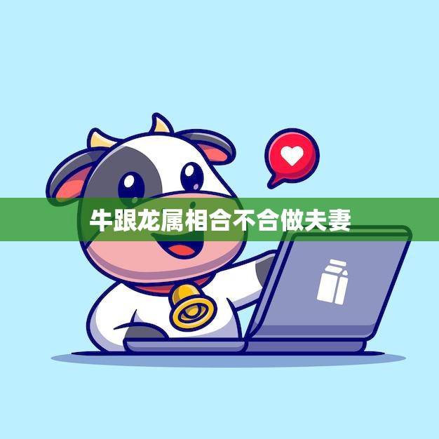 牛跟龙属相合不合做夫妻(如何看待这种组合)