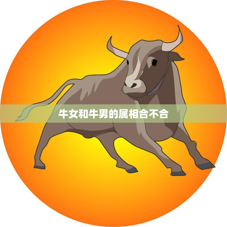 牛女和牛男的属相合不合(宿命的考验)