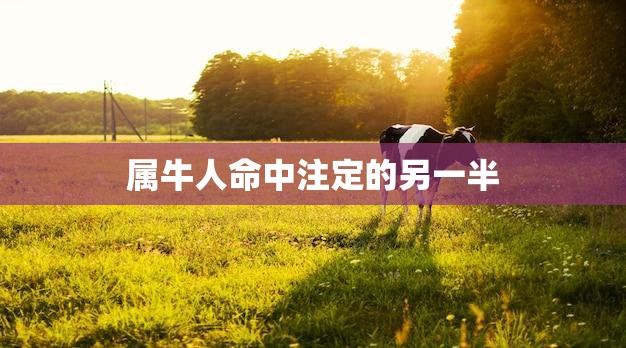 属牛人命中注定的另一半(如何找到你的真命/女)