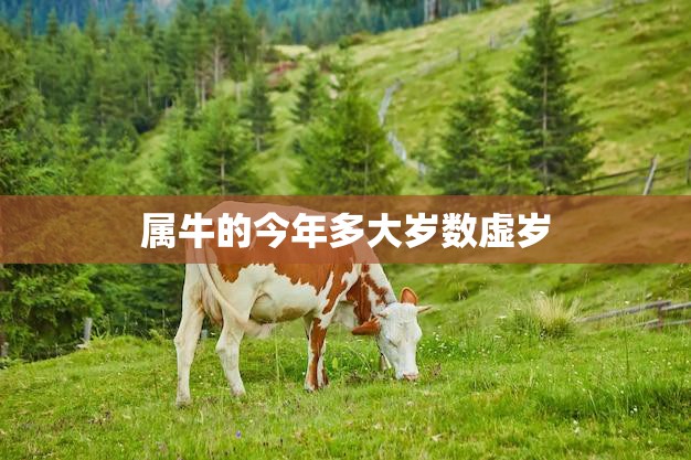 属牛的今年多大岁数虚岁(2023年属牛人的年龄计算方法详解)