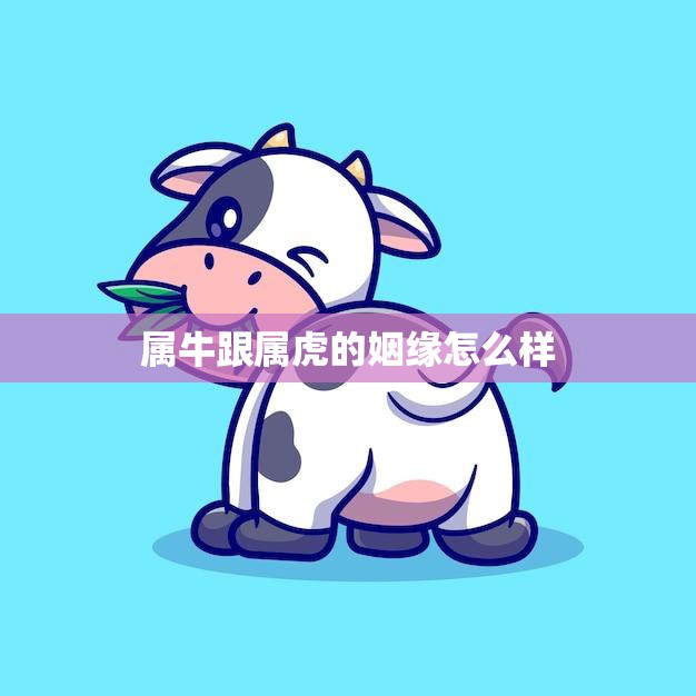 属牛跟属虎的姻缘怎么样(解析牛虎姻缘)