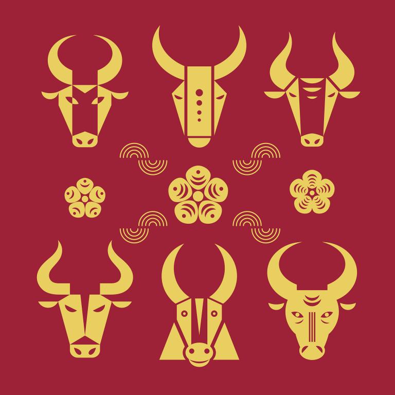 属牛的人2023年多大(牛年人的年龄计算方法及2023年的年龄预测)