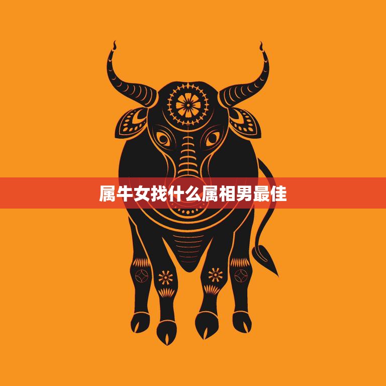 属牛女找什么属相男最佳(如何选择最适合自己的伴侣)