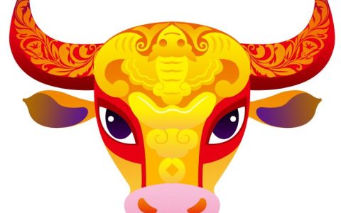 属牛女最佳婚配属相最好(如何选择最适合的伴侣)