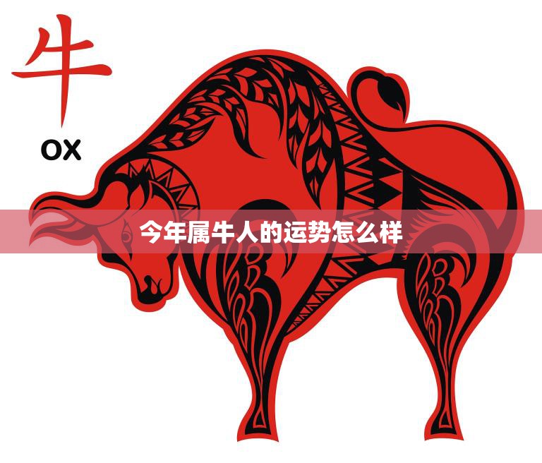 今年属牛人的运势怎么样(2023年牛年运势解析)