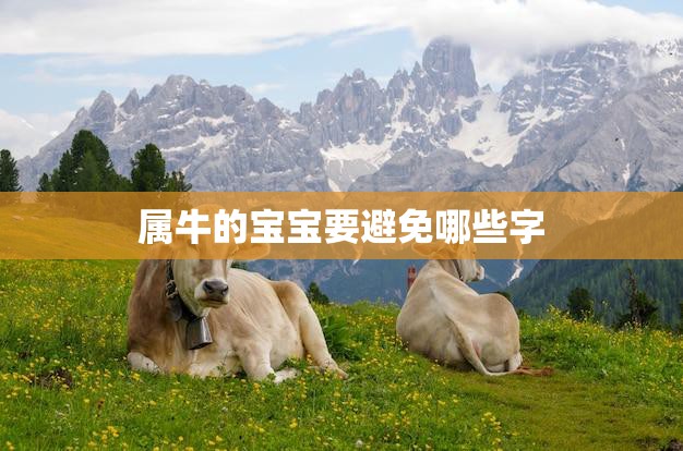 属牛的宝宝要避免哪些字(小心这些字眼影响宝宝命运)