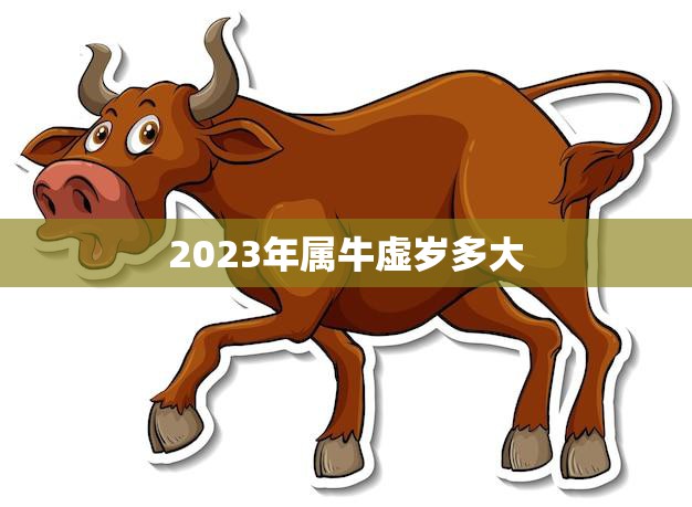2023年属牛虚岁多大(牛年来袭你的年龄将迎来新变化)