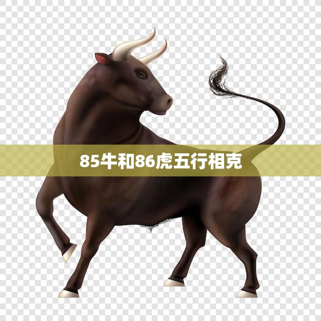 85牛和86虎五行相克(如何化解)