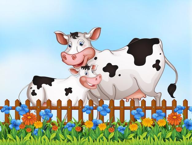 1997属牛婚姻与命运(如何预测未来的婚姻和命运)