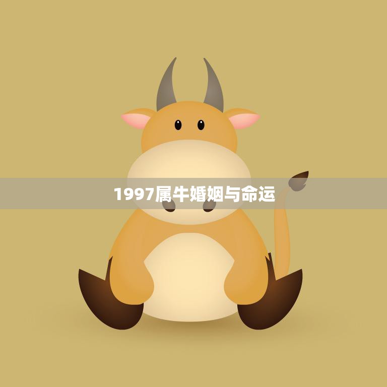1997属牛婚姻与命运(如何预测未来的婚姻和命运)