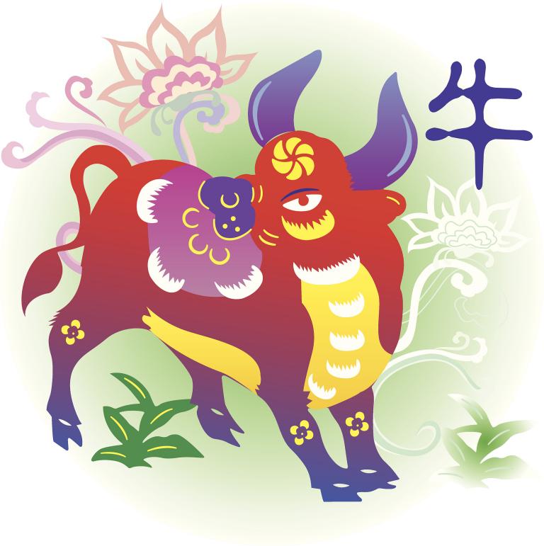 属牛的今年到底多大岁数(解密牛年生肖年龄计算方法)