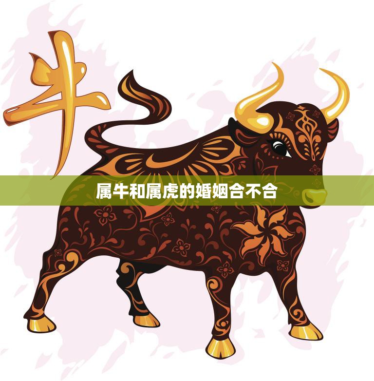 属牛和属虎的婚姻合不合(如何避免婚姻矛盾)