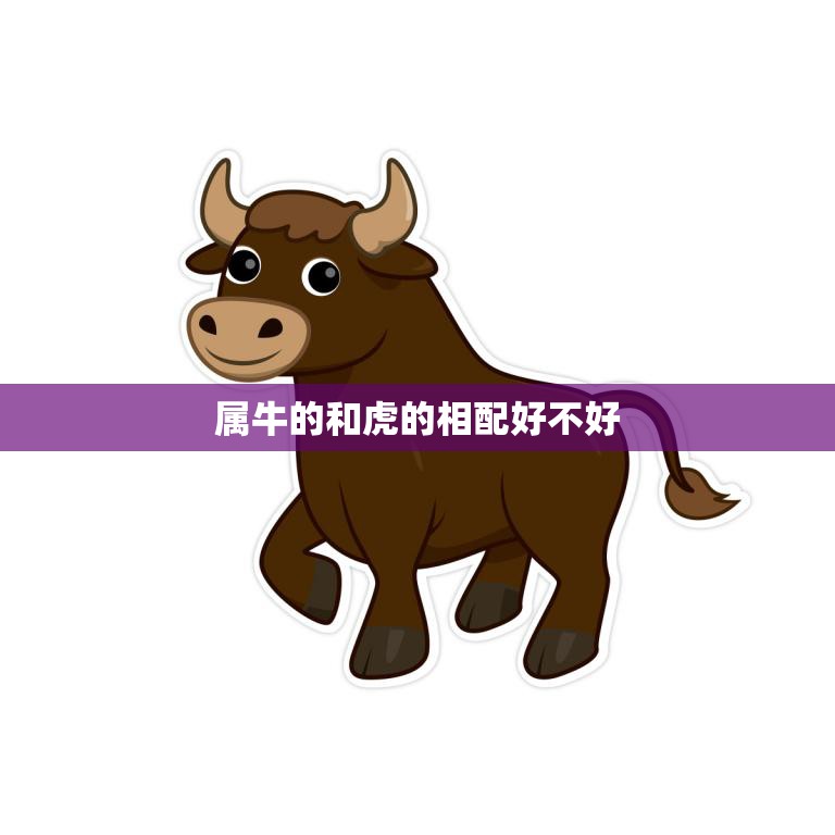属牛的和虎的相配好不好(如何看待牛虎配)