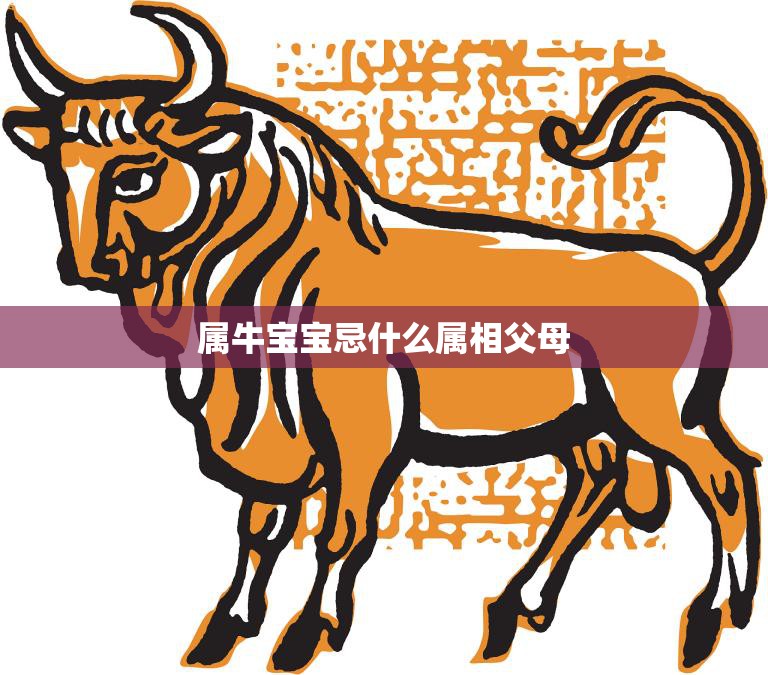 属牛宝宝忌什么属相父母(如何避免冲突)