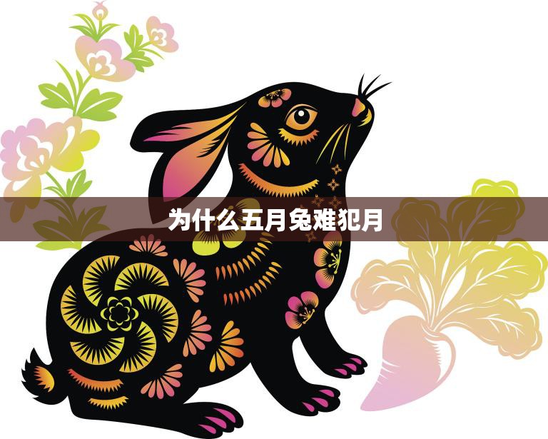 为什么五月兔难犯月(探究兔子的生理特征和月相对其繁殖行为的影响)