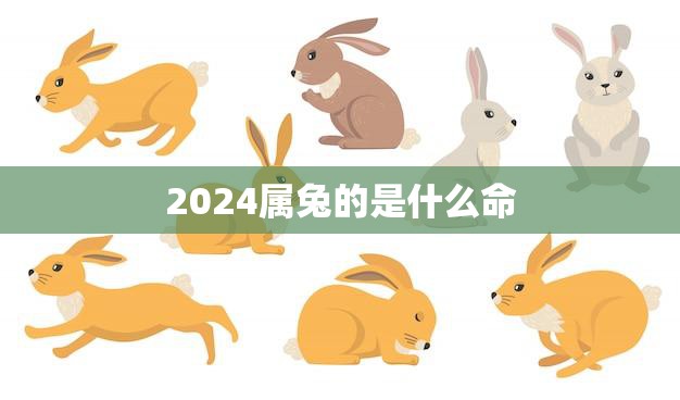 2024属兔的是什么命(解析属兔人的性格特点和运势)