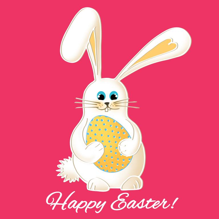 属龙人兔年2023运势(龙兔相会好运连连)