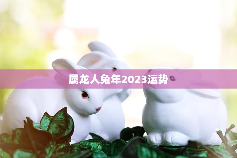 属龙人兔年2023运势(龙兔相会好运连连)
