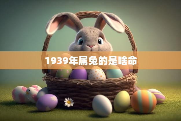 1939年属兔的是啥命(属兔人的性格特点和运势分析)