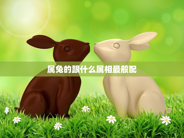 属兔的跟什么属相最般配(十二生肖配对大揭秘)