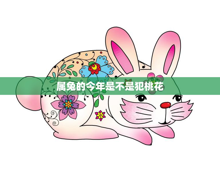 属兔的今年是不是犯桃花(如何化解桃花劫)