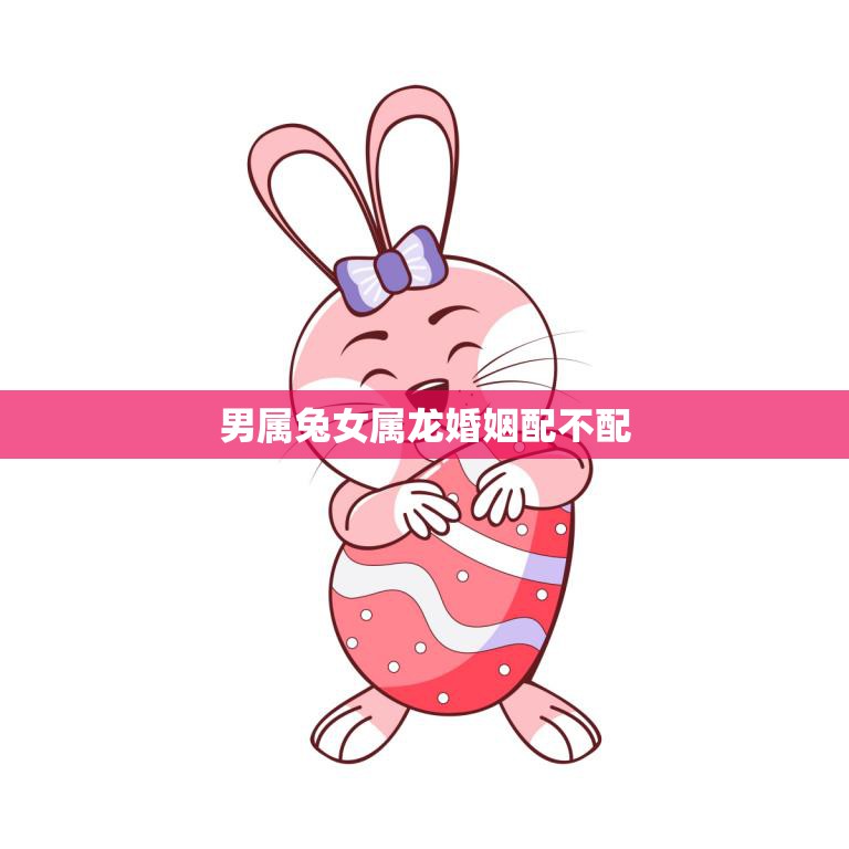 男属兔女属龙婚姻配不配(如何看待这种组合)