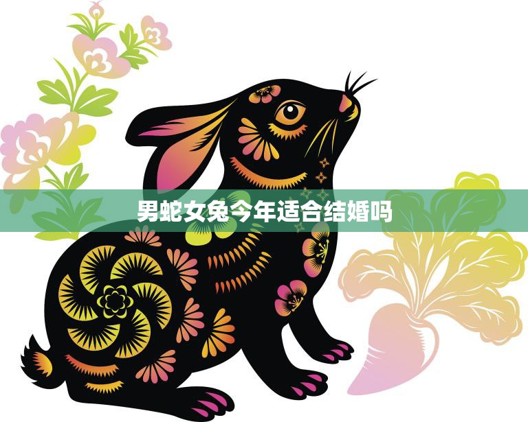 男蛇女兔今年适合结婚吗(星象解析婚姻运势大揭秘)